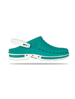 Clog